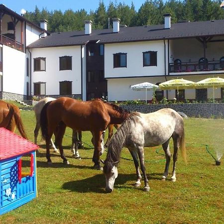 Rusaliite Adventure House Bacsevo Kültér fotó