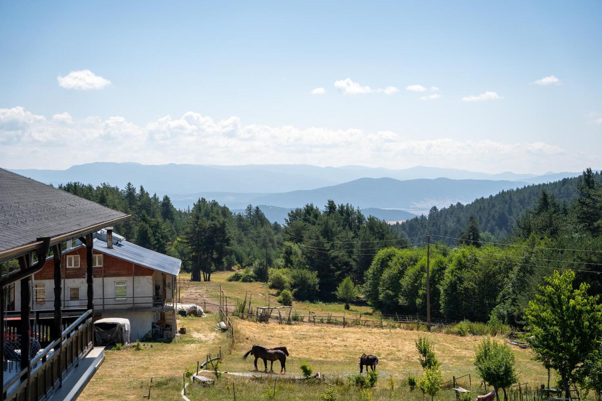 Rusaliite Adventure House Bacsevo Kültér fotó