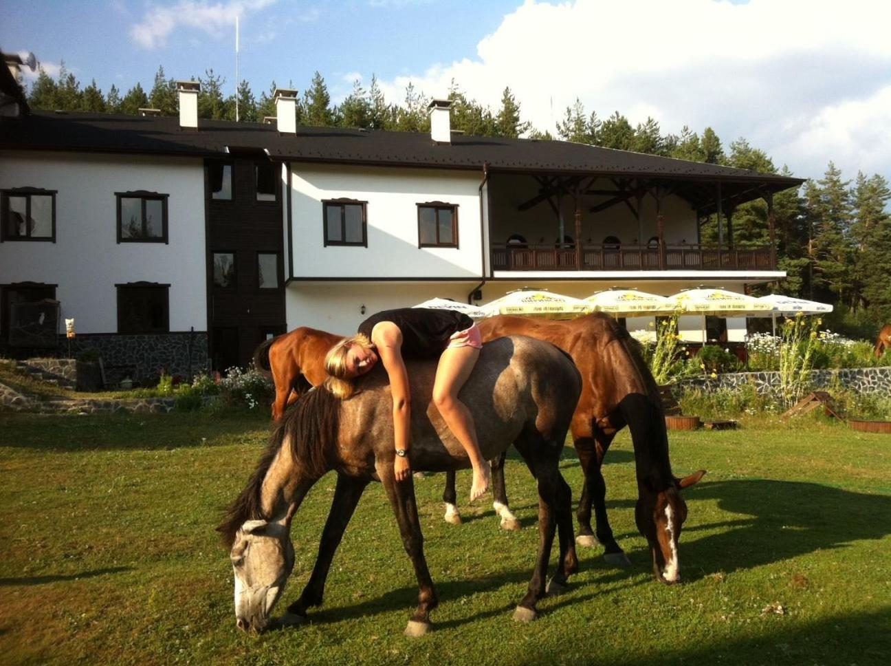 Rusaliite Adventure House Bacsevo Kültér fotó