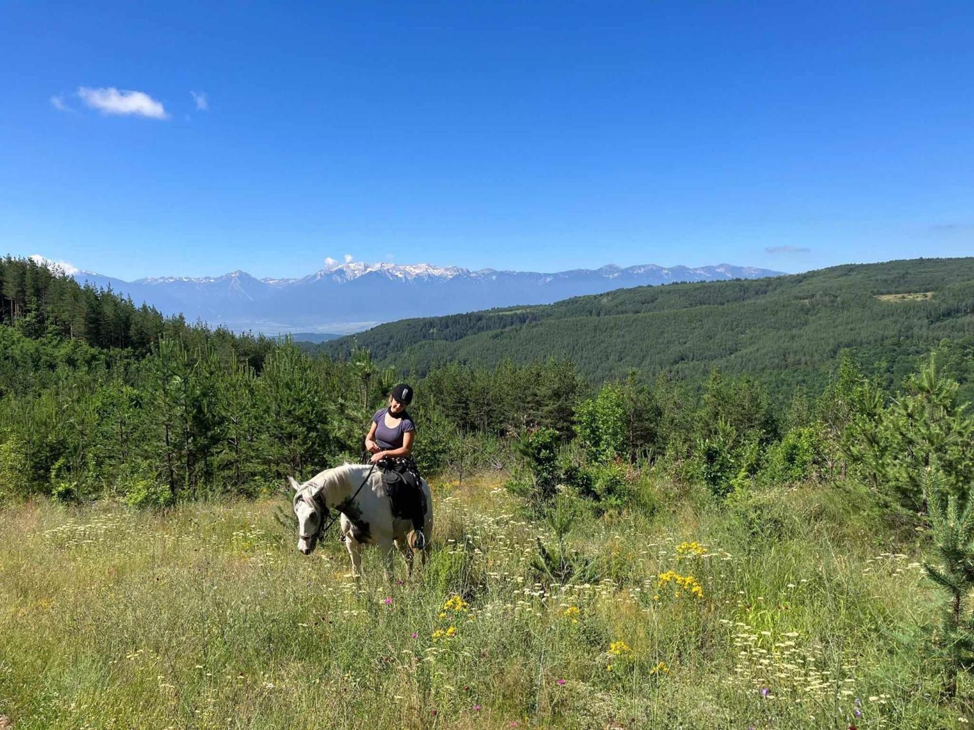 Rusaliite Adventure House Bacsevo Kültér fotó
