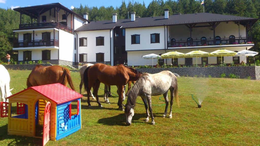 Rusaliite Adventure House Bacsevo Kültér fotó