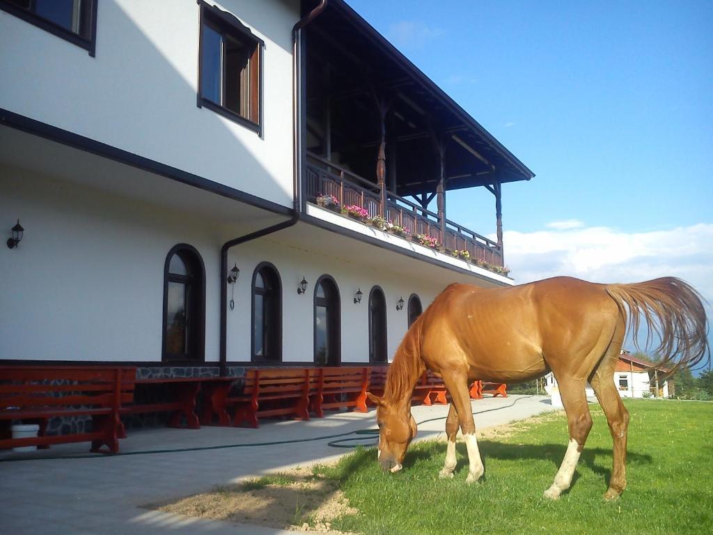 Rusaliite Adventure House Bacsevo Kültér fotó